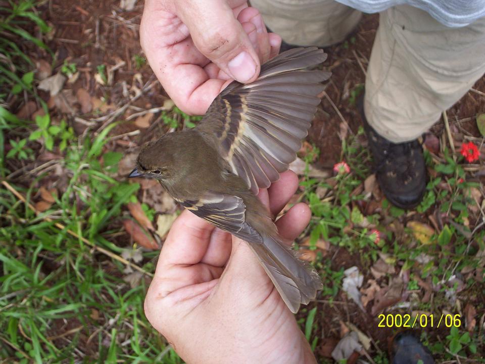 FIGURE 3 FIGURE 3